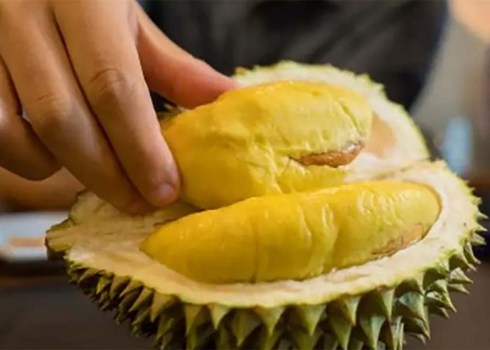 Heboh! Durian vs Obat-obatan: Ternyata Bukan Hanya Mitos! Plus 5 Buah Lainnya yang Bisa 'Bentrok' dengan Obat