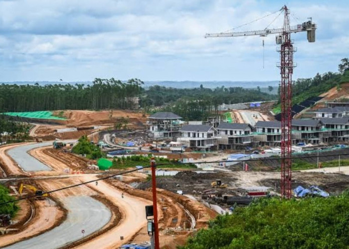 Tiang Listrik Pintar Di IKN Harganya 79 Juta Perbatang, Apakah Sudah Tepat