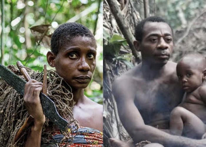 Suku Aka Pygmy, Wanita Cari Nafkah, Suami Jaga Anak dan Beres Rumah