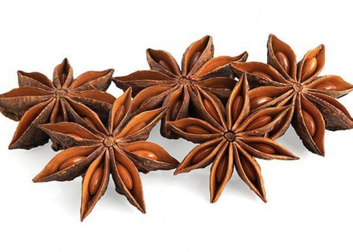 Kandungan Nutrisi Bunga Lawang: Anetol, Shikimic Acid, dan Senyawa Penting Lainnya!