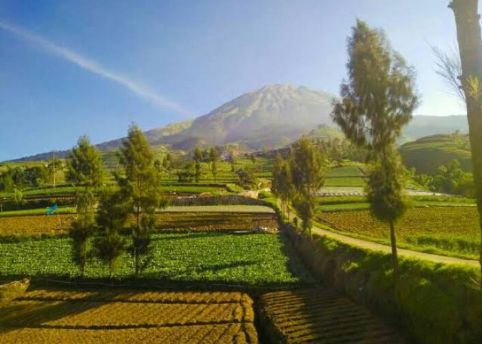 Negeri yang Paling Makmur di Dunia pada Akhir Zaman Menurut Rasulullah
