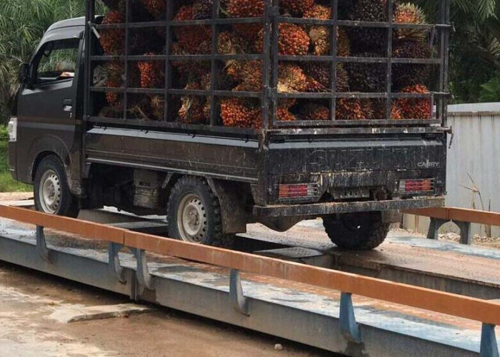 Dinas Perdagangan Mukomuko Akan Turun Cek Keakuran Timbangan Milik Perusahaan