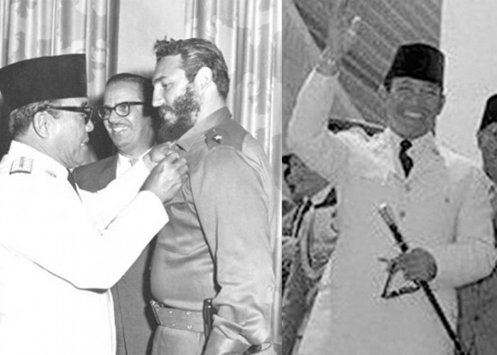 Kayu Pucang Kalak Jadi Tongkat Soekarno, Hebatnya Tongkat Bikin Fidel Castro Penasaran dan Penembak Bingung