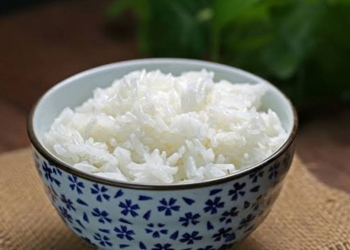 Benarkah Nasi Dingin Tidak Menaikan Kadar Gula Pada Penderita Diabetes,  Lalu Bagaimana Dengan Nasi Panas?