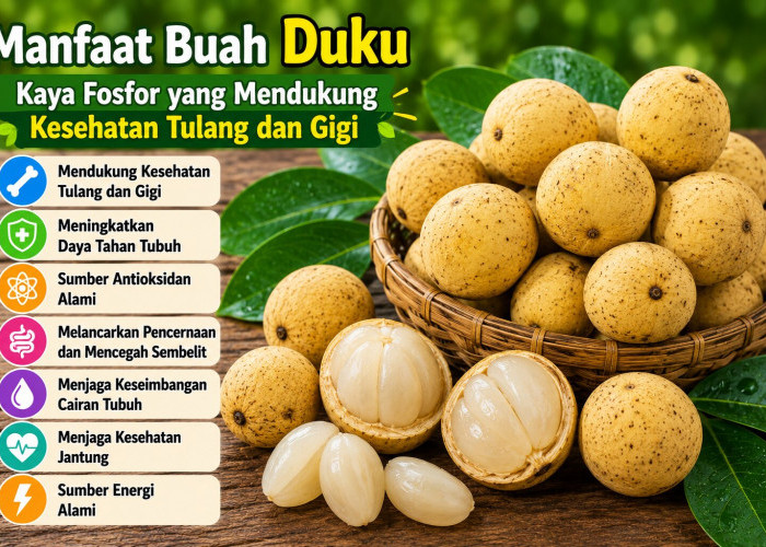 Manfaat Buah Duku bagi Kesehatan: Kaya Fosfor yang Mendukung Kesehatan Tulang dan Gigi