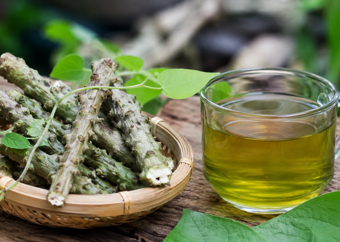Manfaat Brotowali bagi Kesehatan: Tanaman Pahit yang Kaya Potensi Herbal