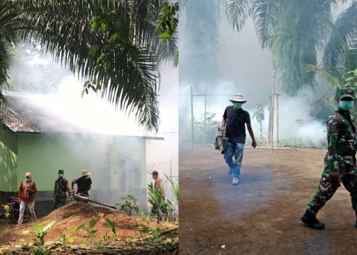 Korban DBD di Bunga Tanjung Bertumbangan, Mohon Perhatian Pemda