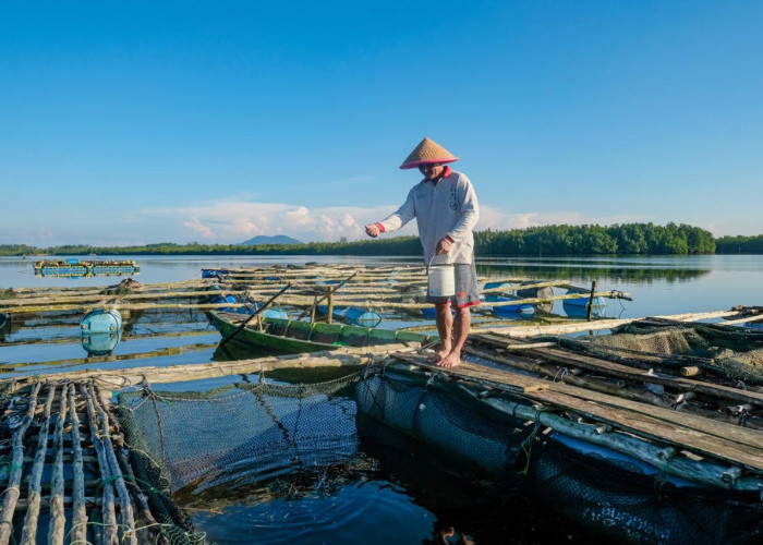 Dorong Sektor Produksi Bergeliat, BRI Salurkan KUR Rp69,8 triliun ke 8,3 Juta Debitur UMKM