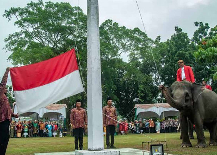 Pertama Kali di Riau, Kemeriahan Upacara Bendera Peringatan HUT ke-78 RI Diikuti Gajah Sumatera 