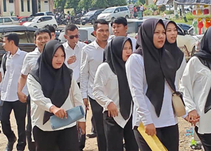 Belum Diangkat PPPK, Gaji Honorer Belum Jelas dan Dipastikan Tidak Ada THR