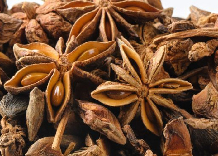 Manfaat Bunga Lawang untuk Meredakan Batuk dan Pilek: Obat Alami yang Ampuh