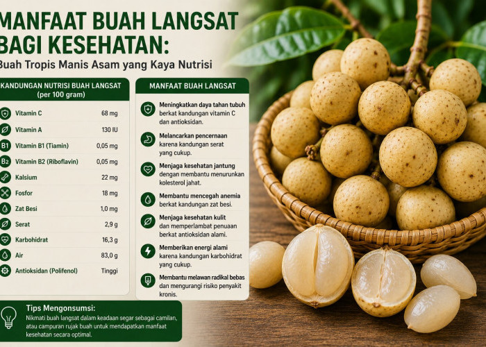 Manfaat Buah Langsat bagi Kesehatan: Buah Tropis Manis Asam yang Kaya Nutrisi