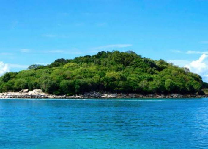Pulau-Pulau Terlarang Didatangi, Karena Dipenuhi Ular dan Kisah Mistis