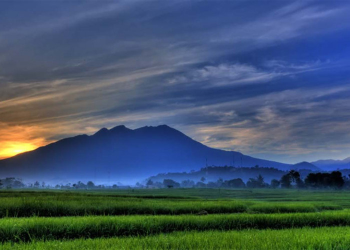 Pesona Alam Gunung Wilis, Keindahan Alam Tersembunyi di Jawa Timur