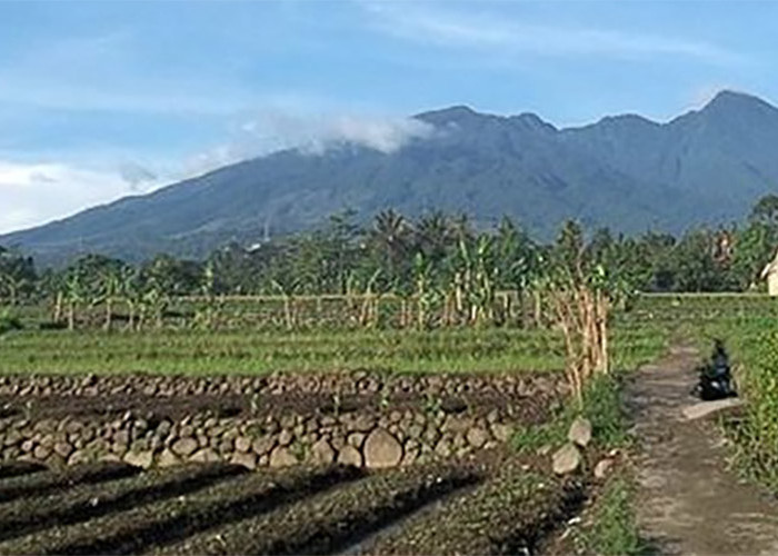 Memiliki Keindahan Alam yang Mempesona, 5 Gunung Ini Memiliki Cerita Mistis Terseram di Indonesia