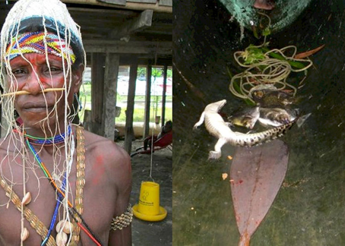 Suku Bauzi Papua, Ahli Pemburu Buaya dan Ular