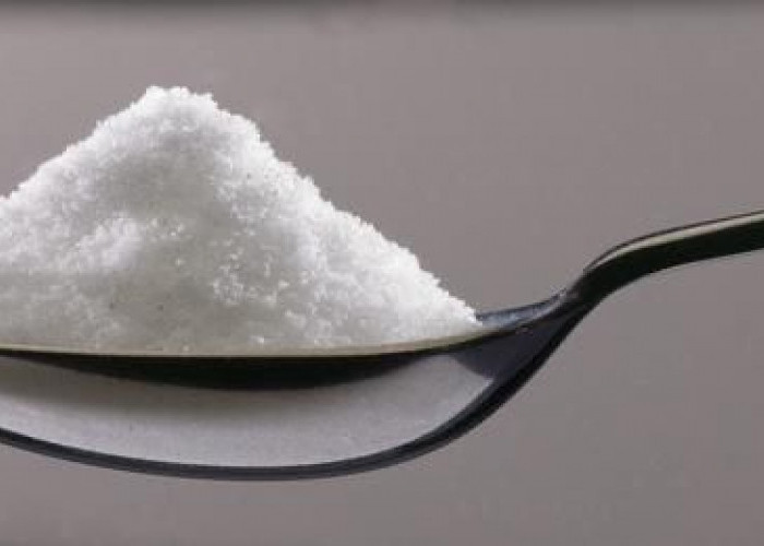 Garam: Lebih dari Sekadar Bumbu Dapur, Mineral Penting untuk Kesehatan Tubuh!