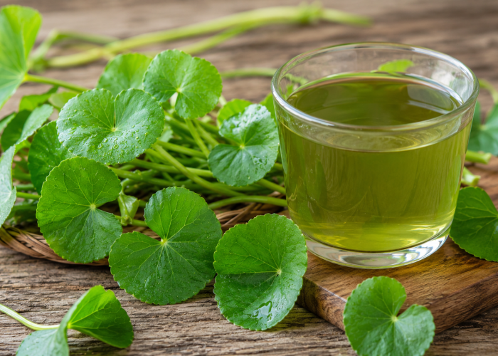 Manfaat Pegagan bagi Kesehatan: Tanaman Liar yang Dijuluki Herbal Otak