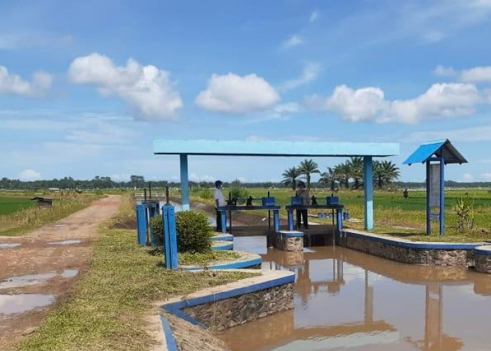 Petani Desa Sumber Makmur Berharap Jalan Inspeksi Irigasi Diperbaiki