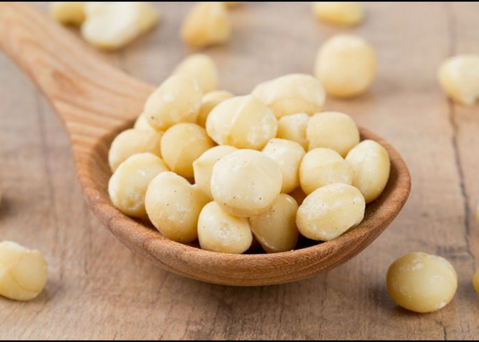 Kreasi Lezat dengan Kacang Macadamia: Camilan Sehat, Bahan Kue, dan Topping Salad!