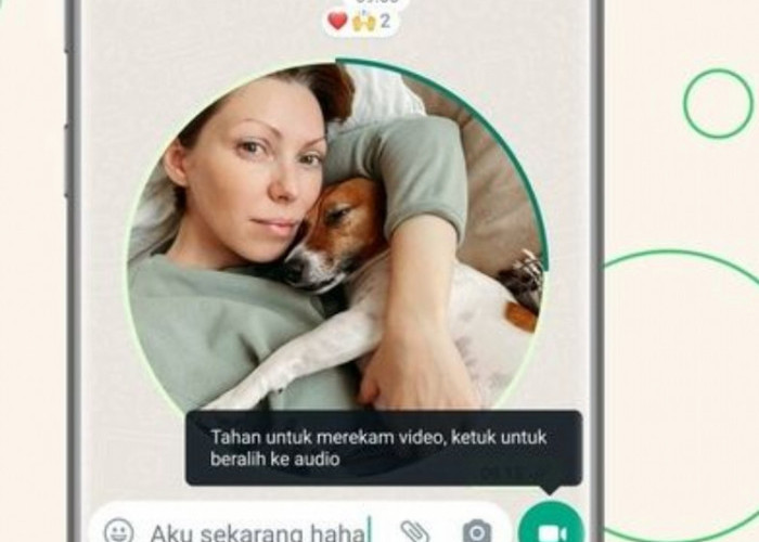 WhatsApp Luncurkan Fitur Baru Pesan Video Instan, Begini Cara Menggunakannya!