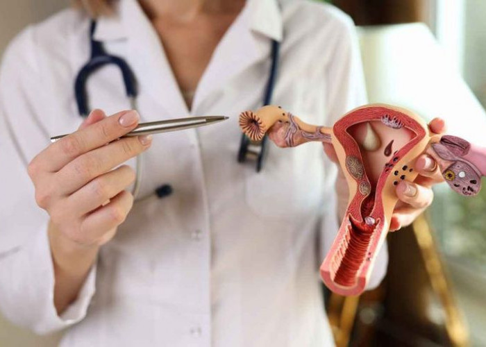 Konsultasi dengan Dokter Kandungan: Langkah Penting untuk Menjaga Kesehatan Rahim!