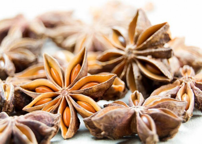 Manfaat Bunga Lawang untuk Meningkatkan Sistem Kekebalan Tubuh: Lawan Infeksi dengan Rempah Alami!