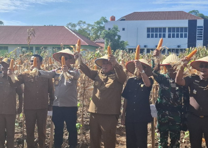 Pemkab Mukomuko Komitmen Dukung Program Inisiasi Polri 1 Desa 1 Hektare Jagung