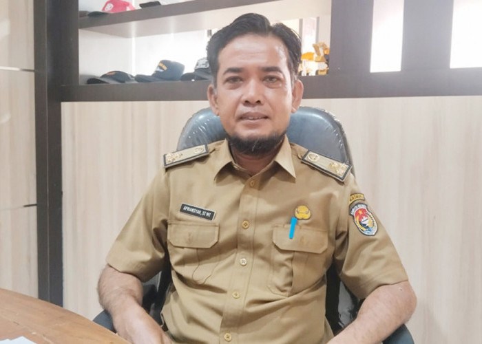 Jatah DBH Sawit Mukomuko Anggaran Turun 2026 Turun Drastis