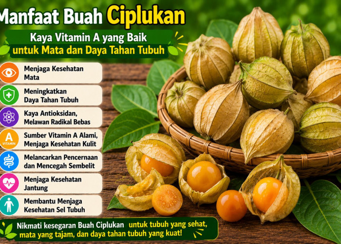 Manfaat Buah Ciplukan bagi Kesehatan: Kaya Vitamin A yang Baik untuk Mata dan Daya Tahan Tubuh