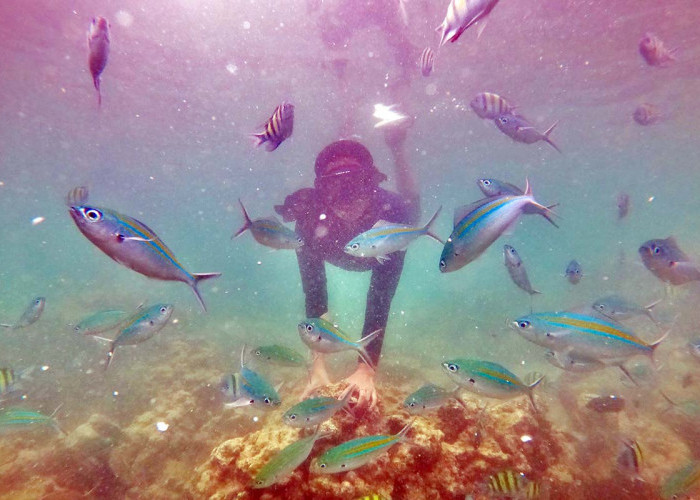 Snorkeling at Mandeh, Si Raja Ampatnya Sumbar!