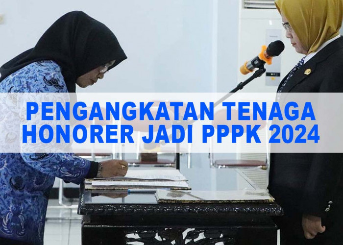 Honorer Yang Diangkat Menjadi PPPK Mendapat Tunjangan di Luar Gaji Pokok