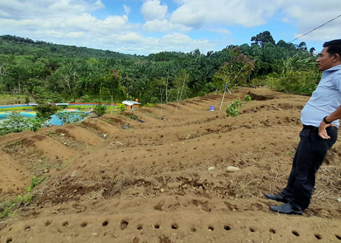 Kolam Renang Desa Tirta Surya Makmur Dibuka untuk Umum