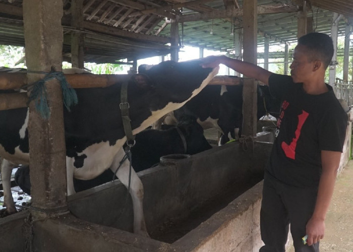 Pengusaha Pakan Ternak Asal PonorogoKisah Buktikan KUR BRI Bisa Bikin Usaha Berkembang
