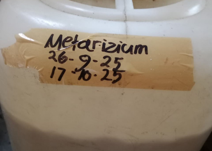 Produk Organik Efektif Atasi Hama dan Penyakit Tanaman Petani