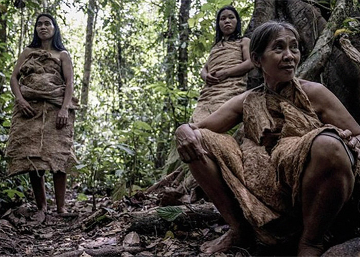 Fakta-fakta Unik dan Menarik dari Provinsi Kalimantan Utara, Ada Suku Rimba Terakhir Kalimantan