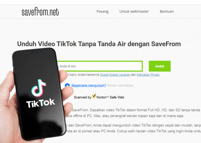 Cara Mudah Download Video TikTok Tanpa Watermark, Langsung Tersimpan di Hp