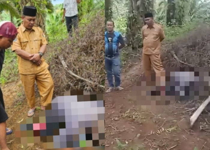 Ketua RT Desa Sidodadi Ditemukan Meninggal di Kebun Sawit, Berikut Hasil Visumnya