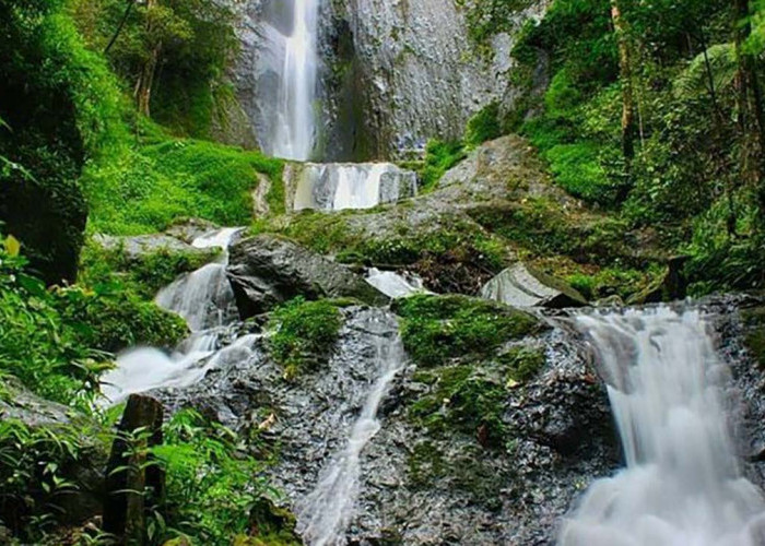 Cocok untuk jadi Tempat Healing! Kesegaran Alam Air Terjun Dolo di Kediri yang Menyejukkan