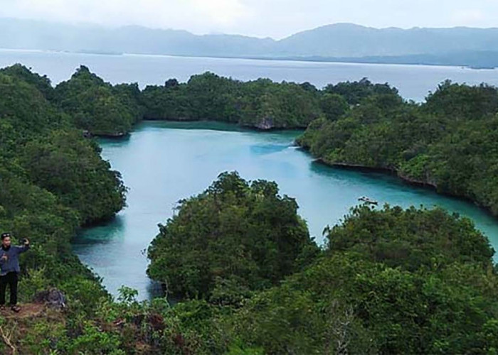 Inilah Wisata Danau Napabele yang Patut di Kunjungi, Keindahan Alam di Sulawesi Tenggara yang Tersembunyi