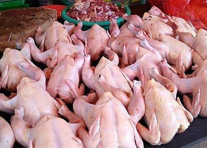 Cara Mengenali Ayam Tiren yang Dijual di Pasaran