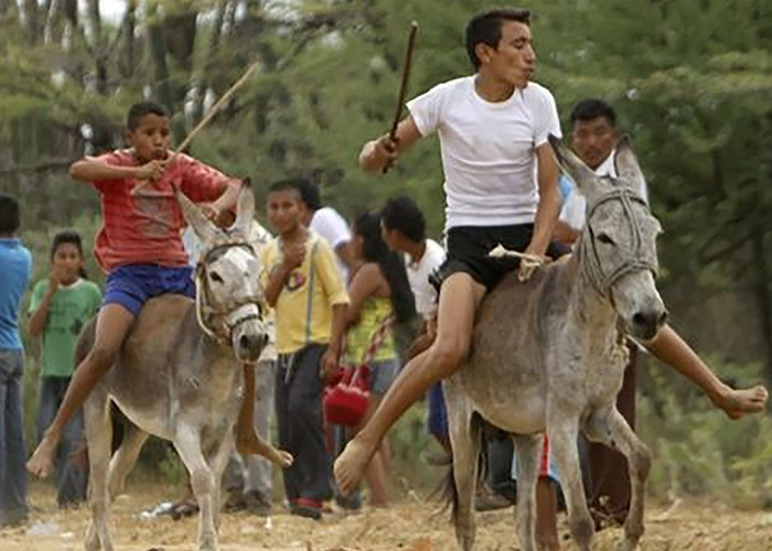 Tradisi Aneh, Remaja Harus Kendarai Keledai Sebelum Menikah