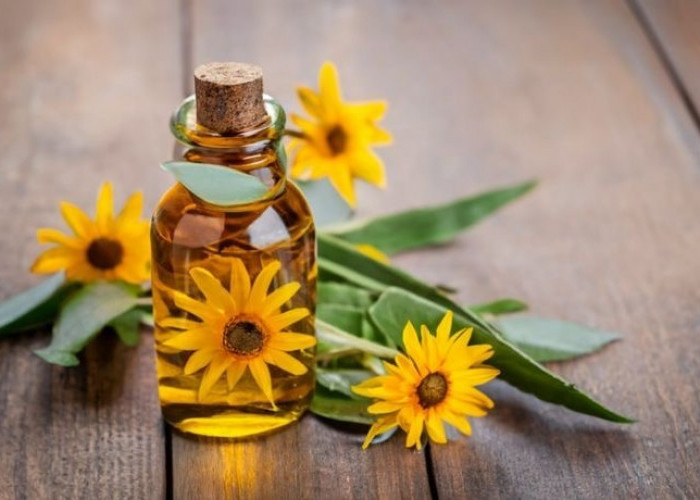 Manfaat Minyak Bunga Matahari untuk Kulit: Melembapkan, Mencerahkan, dan Melindungi!