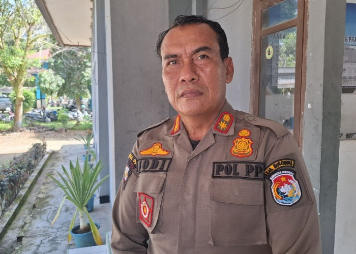 Kasus Ternak Lepas Liar di Mukomuko Menurun