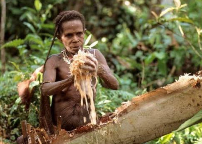 Tradisi Nyeleneh Kisah Suku Fore Oseania Yang Makan Mayat, Serta Penyebab Penyakit Kuru