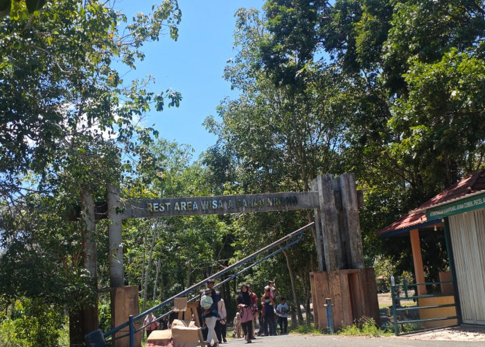 Tanpa Acara Hiburan Organ Tunggal, Wisata Danau Nibung Tetap Ramai Pengunjung