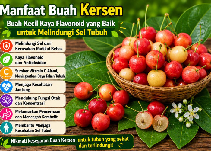 Manfaat Buah Kersen bagi Kesehatan: Buah Kecil Kaya Flavonoid yang Baik untuk Melindungi Sel Tubuh
