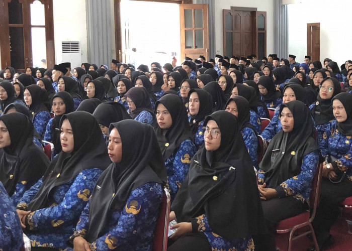 Gaji Rp 1 Juta, PPPK Paruh Waktu Mukomuko Juga Tidak Dapat Tunjangan