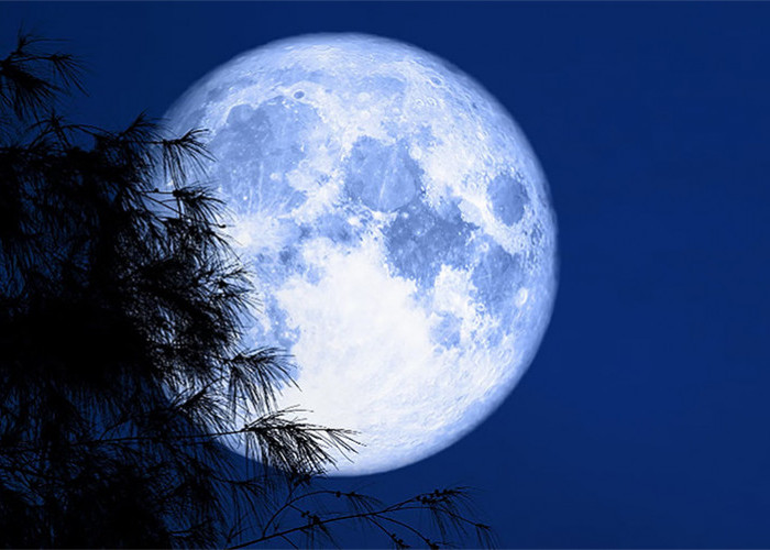 Mengenal Fenomena Blue Moon yang Terjadi Semalam, Fenomena Bulan Bulat Sempurna Nan Indah dengan Sejuta Mitos