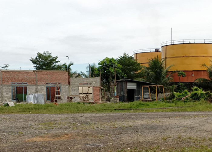 Gara-gara Protes Hak, Buruh Pabrik Kelapa Sawit di Mukomuko Terancam Dipecat